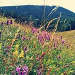 Stodingerhuette Chalet *