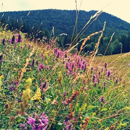 Stodingerhuette Alpesi faház *