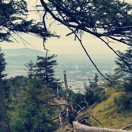 Stodingerhuette Winkl (Salzburg)