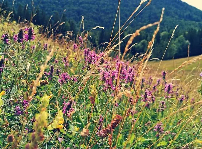 Stodingerhuette Chalet *