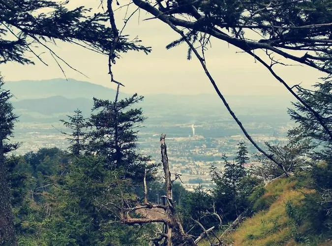 Stodingerhuette Winkl (Salzburg)