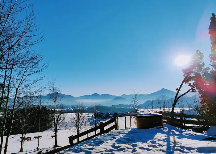 Chalet Stodingerhuette Winkl (Salzburg)